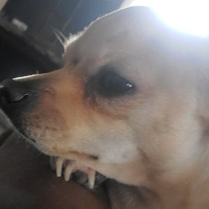 Meet your Posher, Jordan